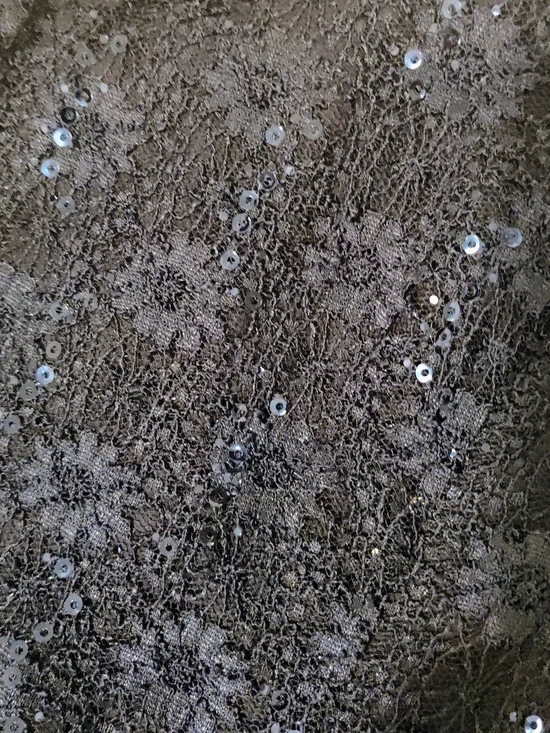 Black Lace Midi Dress with Sequin Detail - Picture 3 of 4